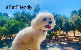 Bungalow Sequero #Pet Friendly